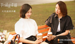 下一站是幸福电视剧,探寻现代都市爱情与成长的温暖旅程